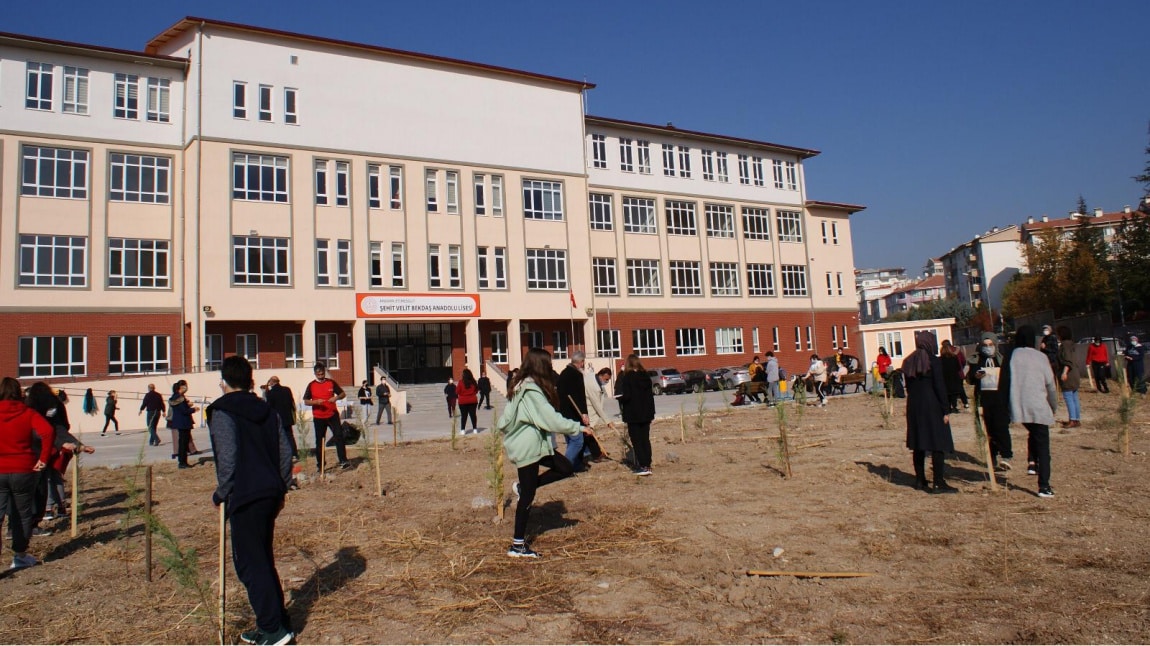 Şehit Velit Bekdaş Anadolu Lisesi ANKARA ETİMESGUT